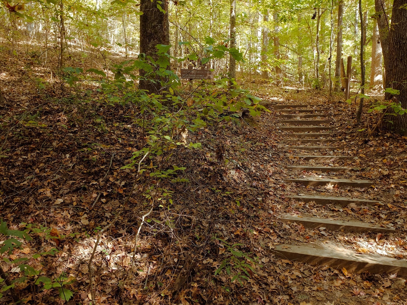 Popular Parks & Recreation In Pfafftown NC