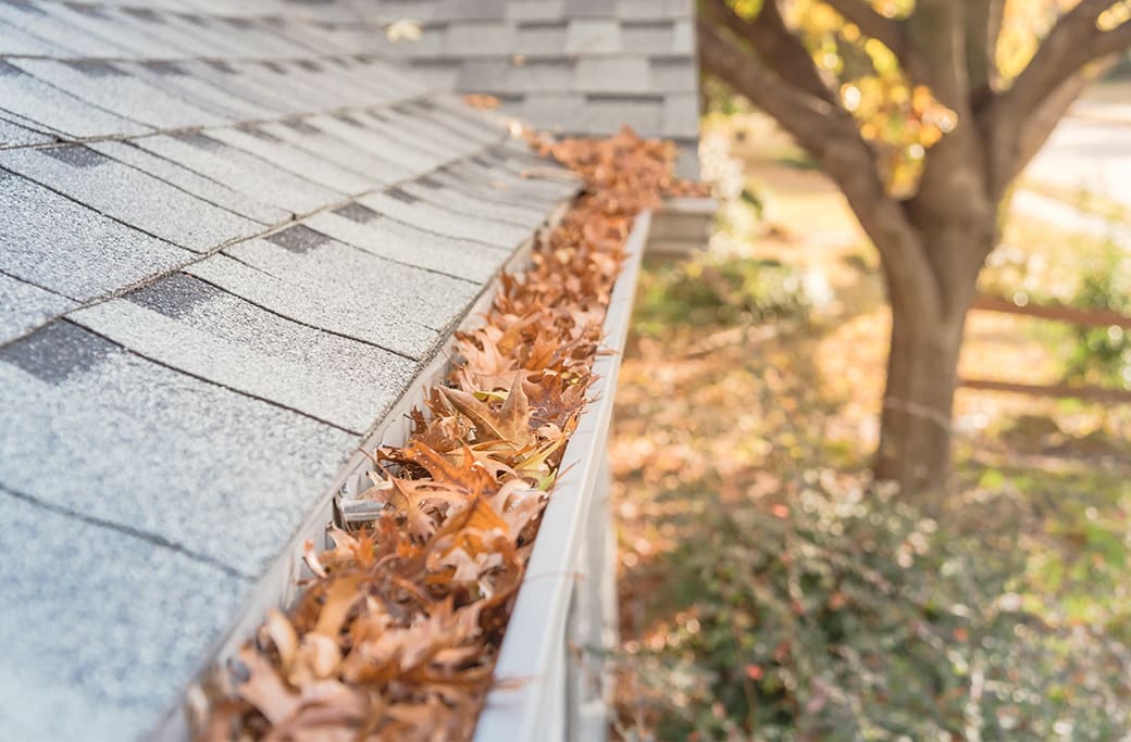 Gutter and Downspout Maintenance