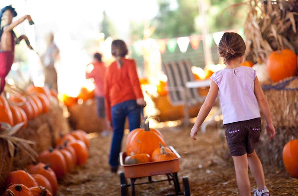 October Family Fun in Winston-Salem: Fall Festivals & Activities