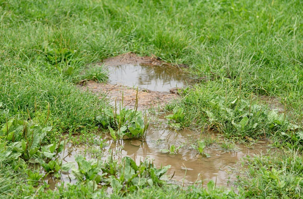 Residential home and yard during heavy rain showing property drainage